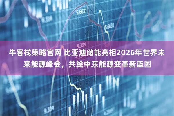 牛客栈策略官网 比亚迪储能亮相2026年世界未来能源峰会，共绘中东能源变革新蓝图