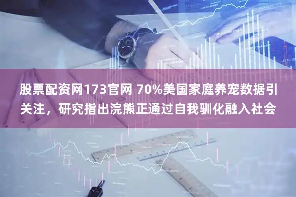 股票配资网173官网 70%美国家庭养宠数据引关注，研究指出浣熊正通过自我驯化融入社会